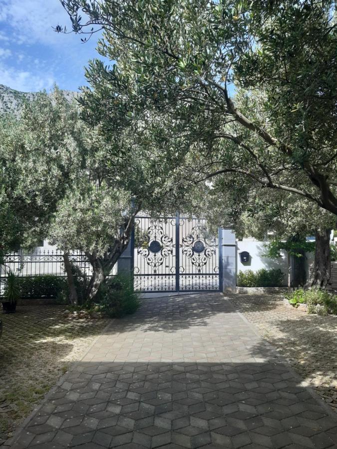 Pansion Ana Apartment Podaca Exterior photo